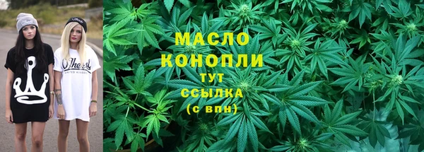 дживик Дрезна