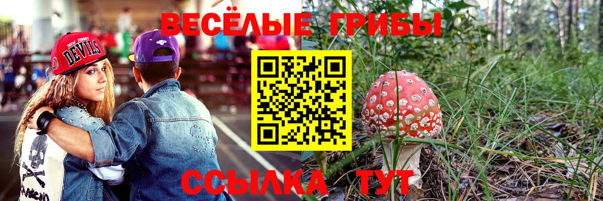Переславль-Залесский  Псилоцибиновые грибы Psilocybine cubensis  Вход с VPN  Псилоцибиновые грибы Psilocybe 